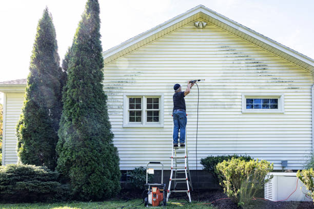 Best Soft Washing  in Somerville, MA
