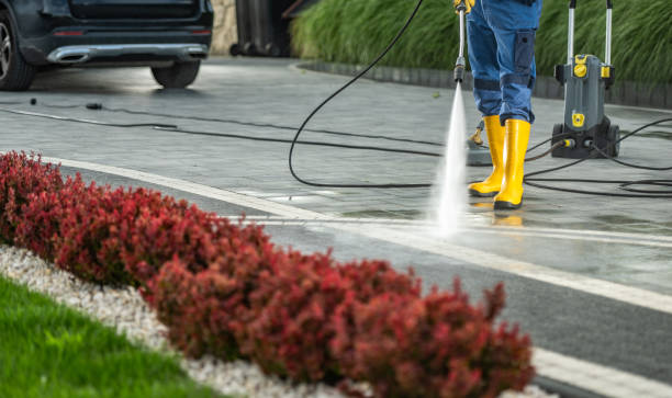 Best Fence Cleaning  in Somerville, MA