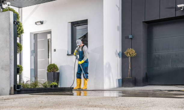 Best Paint Preparation  in Somerville, MA